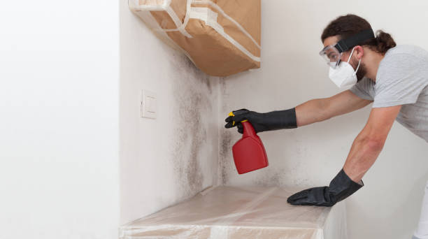 Professional Mold Testing technician working in Church View, VA