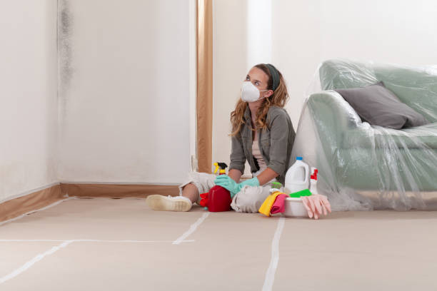 Reliable Mold Testing contractor in Church View, VA by WQB Mold Removal